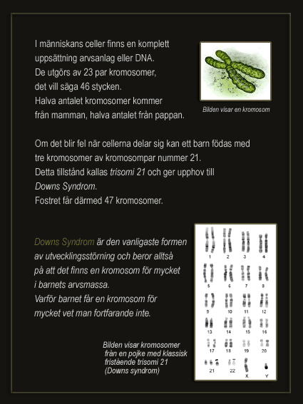 kromosomtexten6-copy.gif