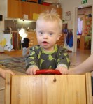 dagisfebv2 dagisfebv2