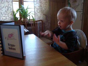 krypaboken2