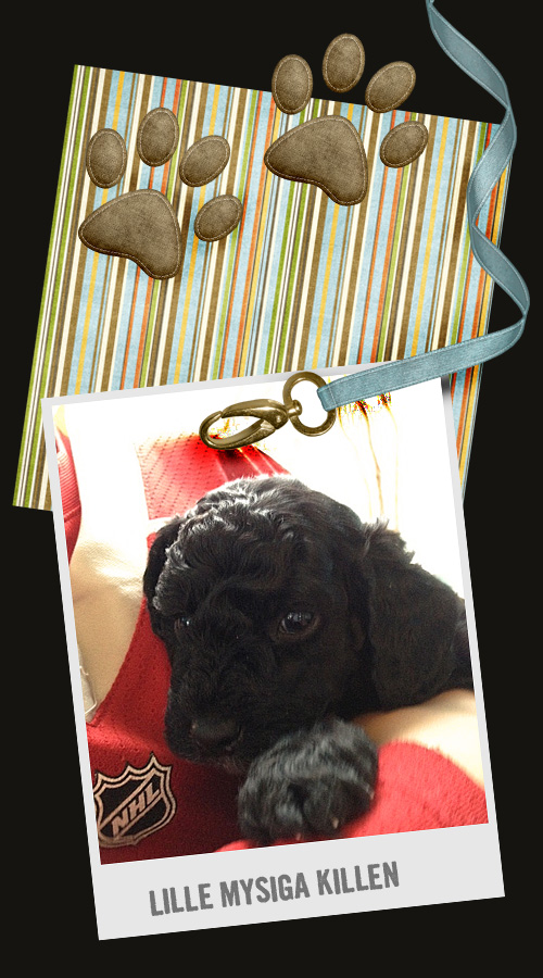 valpen design2 kopiera