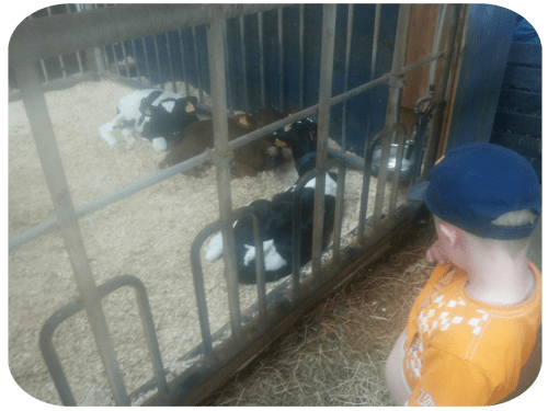 20130601_163102 kopiera