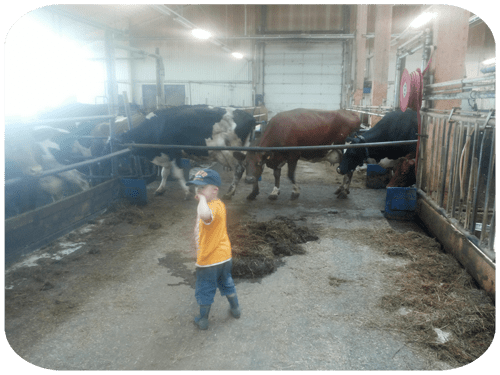 20130601_164317 kopiera