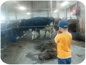 20130601_164325 kopiera