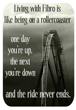 1385136_10200714278241105_2000649609_n kopiera