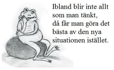 625543_10200857972111116_785209521_n kopiera