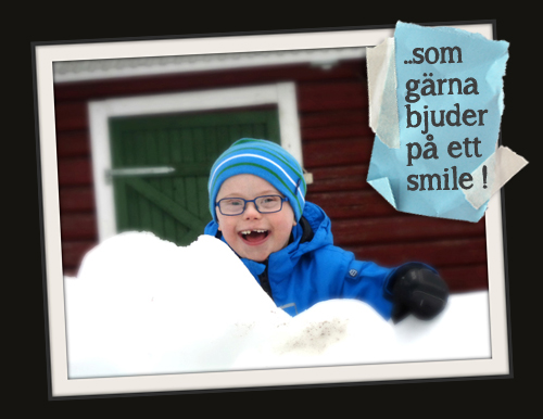 max i ram3mindre kopiabusgg