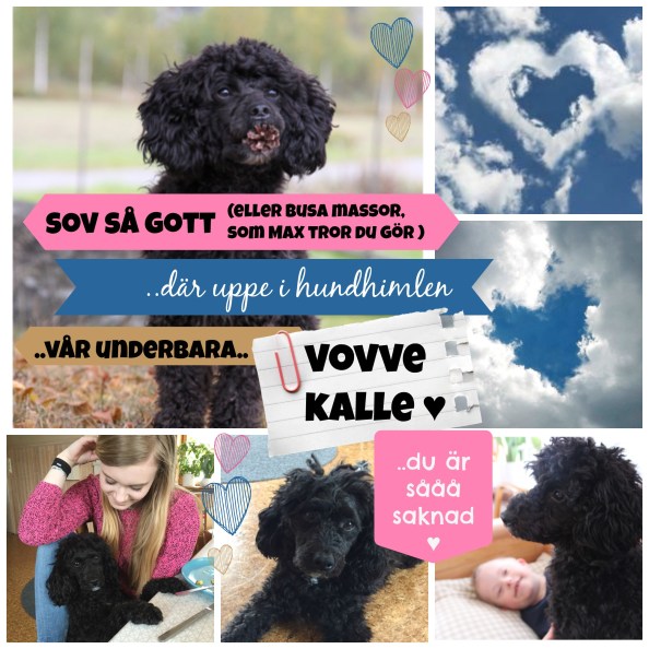 Kalle collage3