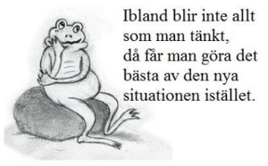 625543_10200857972111116_785209521_n kopiera