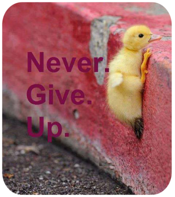 996010_654022964619846_1109827982_n kopiera