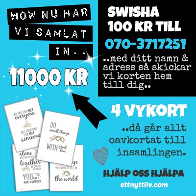 insaling1100000 kopiera